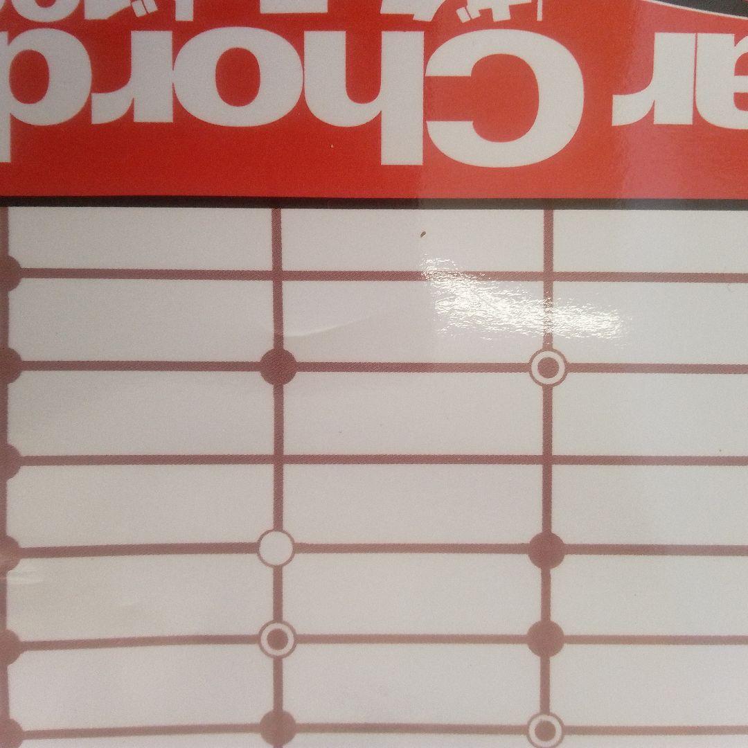 Fender Japan ストラトキャスター ケース付き 付属品あり