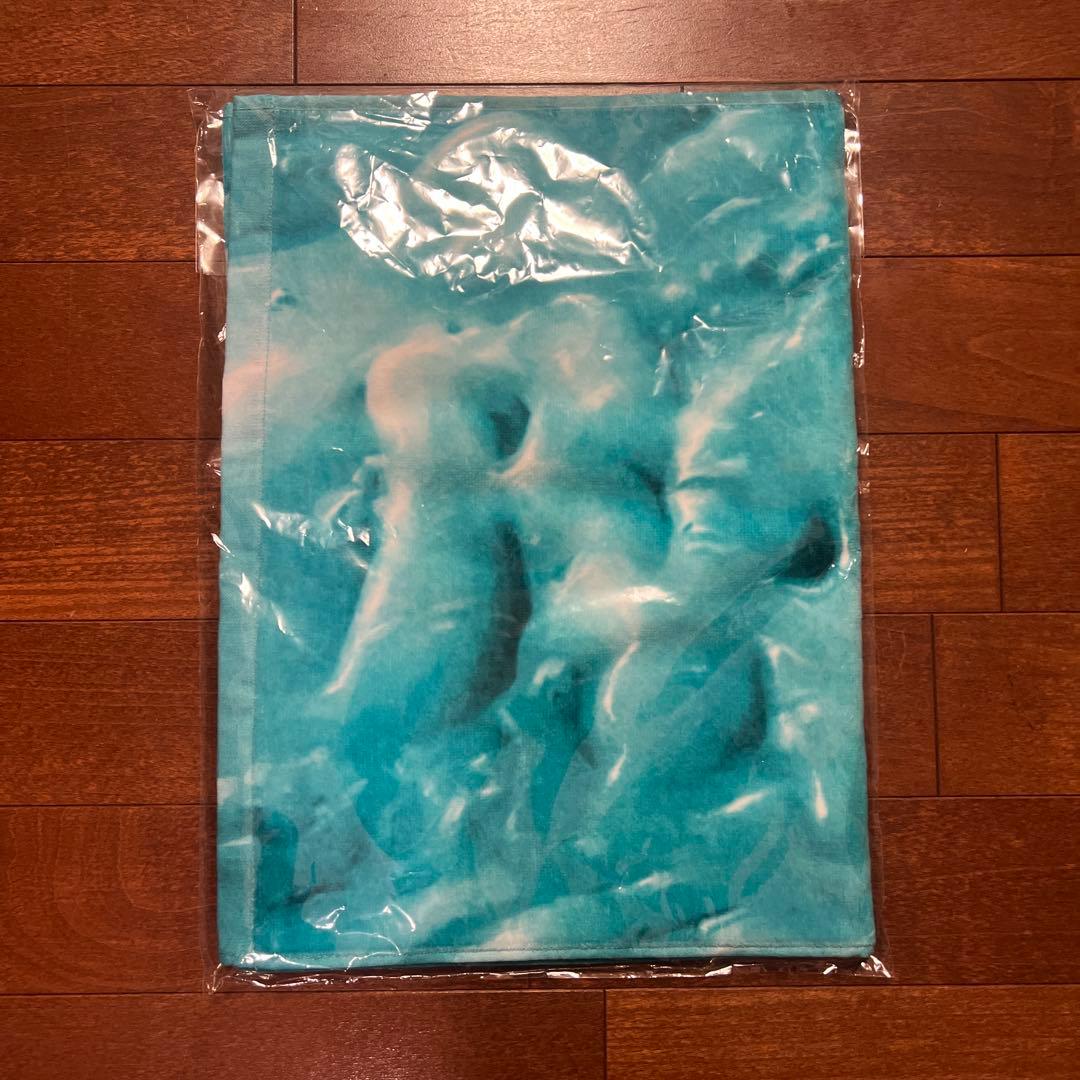 【新品】RADWIMPS 2025 SUMMER ロングフェイス タオル フェス