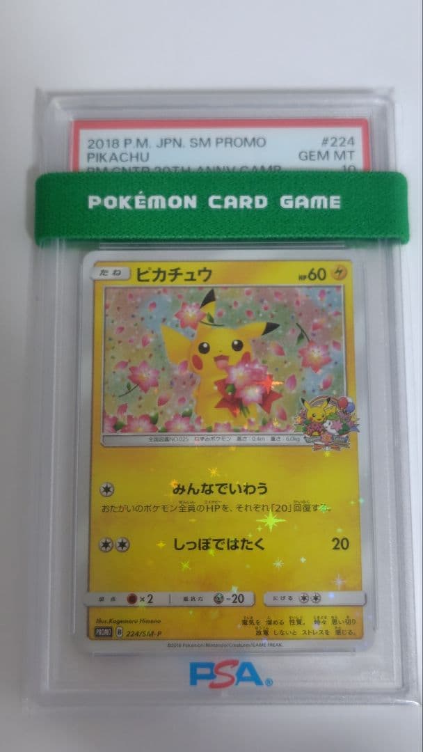 【PSA10】ポケモンカードゲーム　ピカチュウ　みんなでいわう