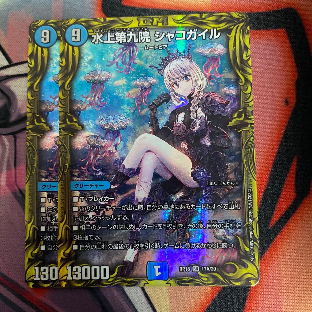 水上第九院シャコガイル A 2枚