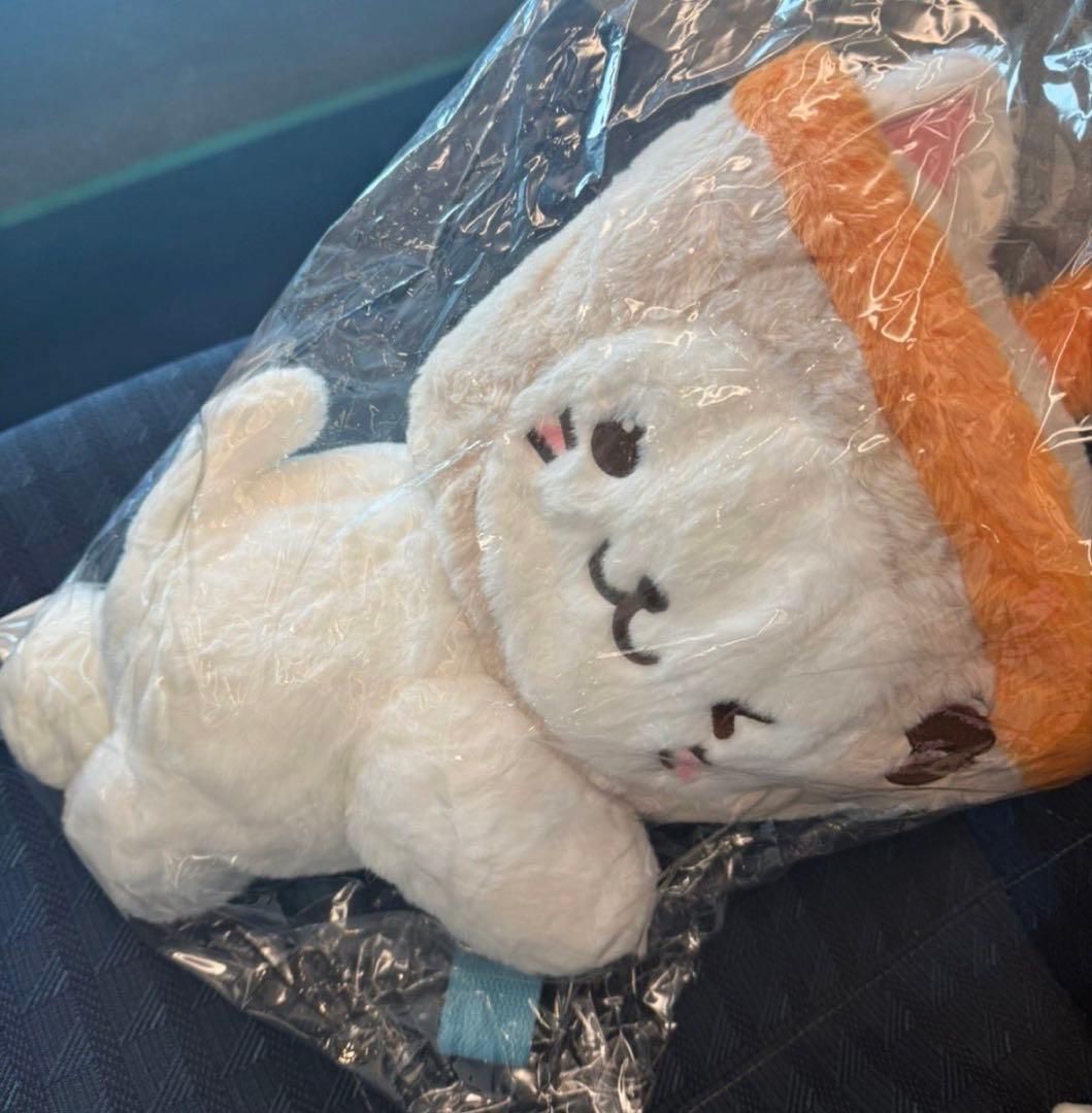 NCTWISH バブルニャン ユウシ キャラクターバック トレカ付き