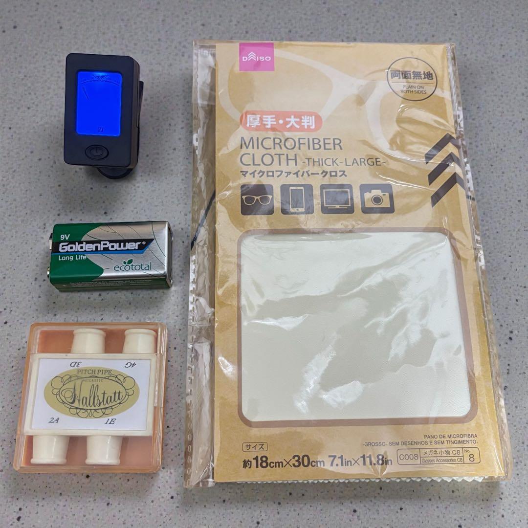 【入門用】HALLSTATT CV-210E エレキバイオリン 美品 セット