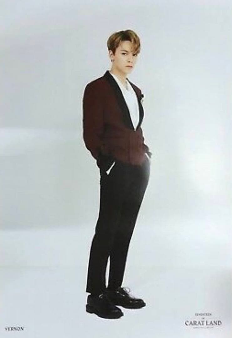 SEVENTEEN セブチ 2018 CARAT LAND ポスター セット