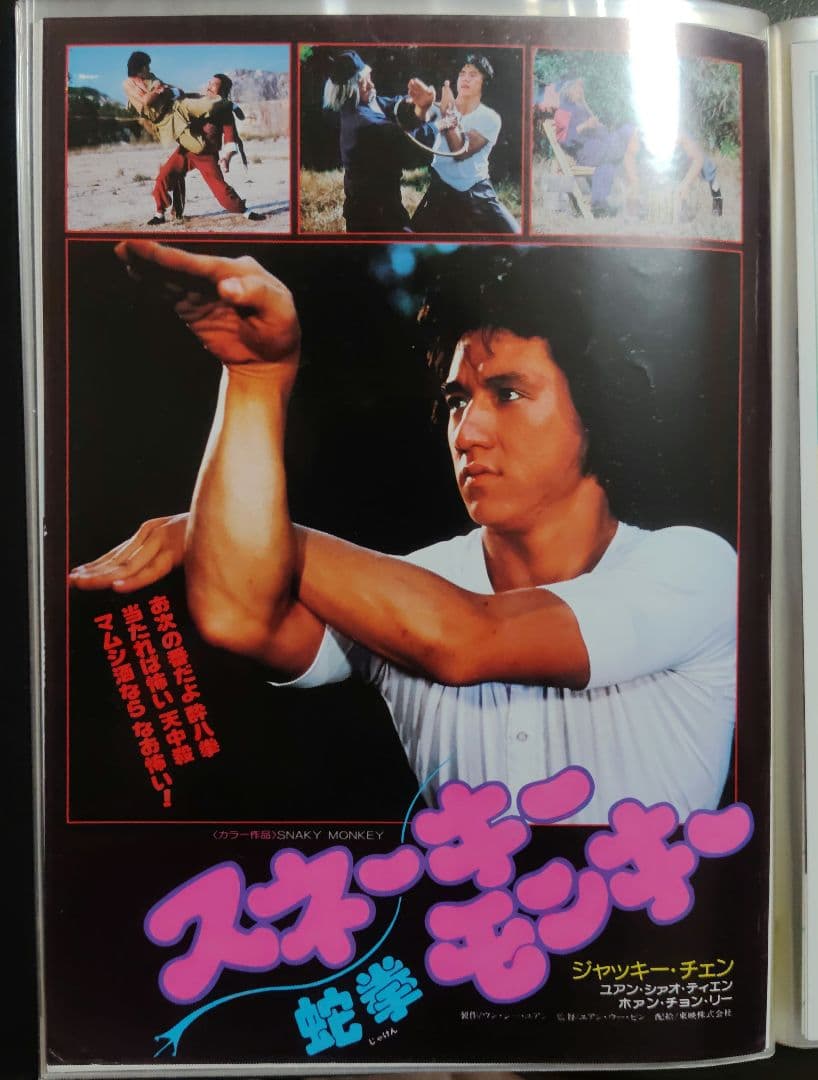 ジャッキー・チェン アクション映画チラシ 20点セット（その１）
