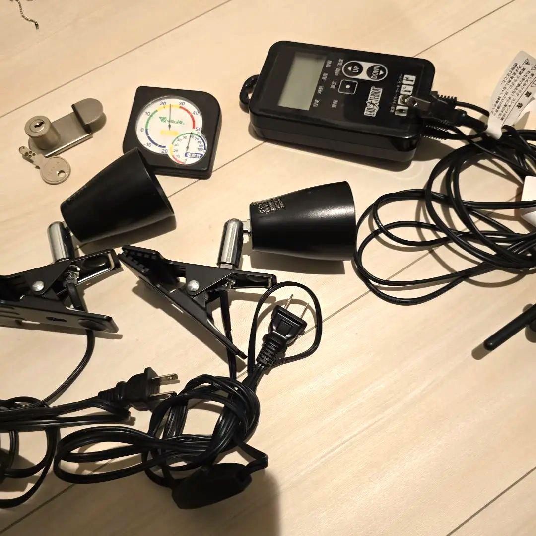 フトアゴ飼育セット