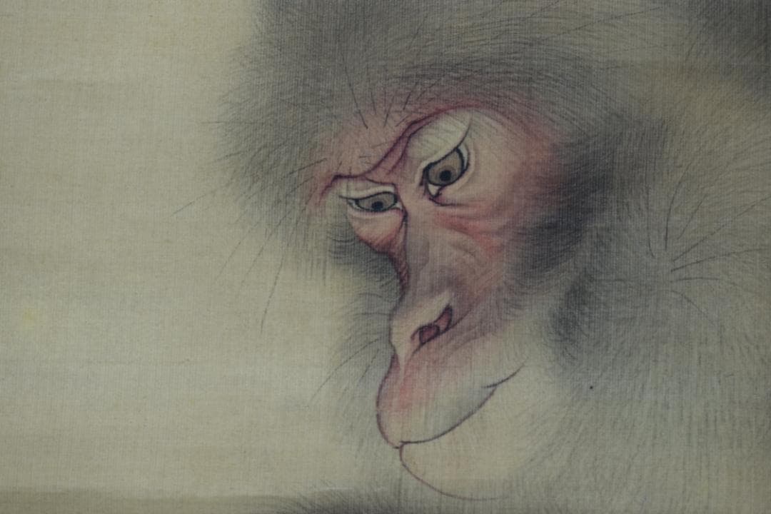 【真作】森祖仙/森狙仙/親子猿之図/掛軸☆宝船☆Y-896　JM