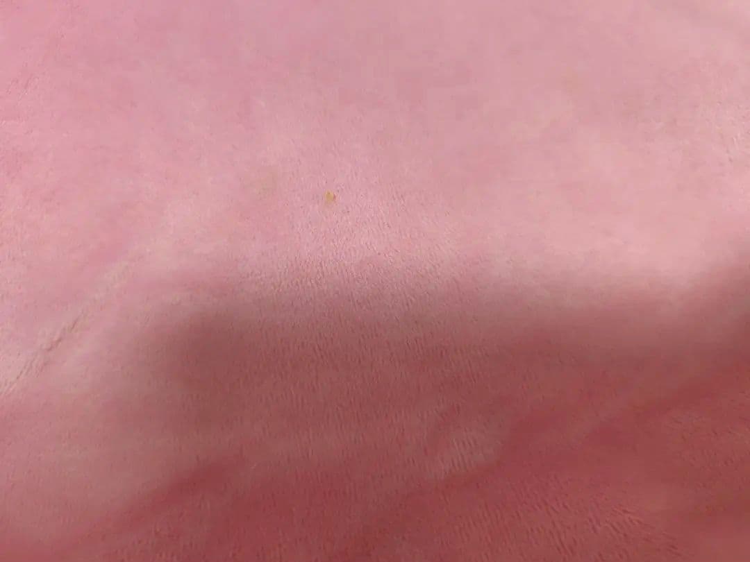 超ビッグサイズメタモン