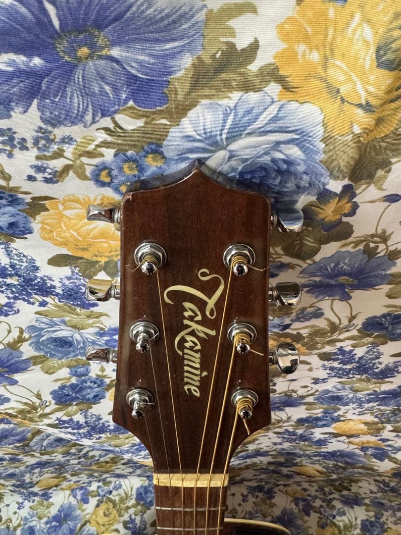 TakaminePT-106左利きコントローラーCT4BⅡ 純正ハードケース付き