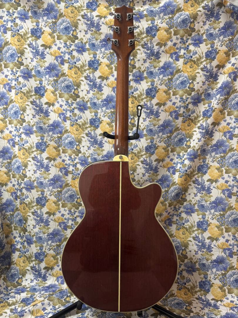 TakaminePT-106左利きコントローラーCT4BⅡ 純正ハードケース付き