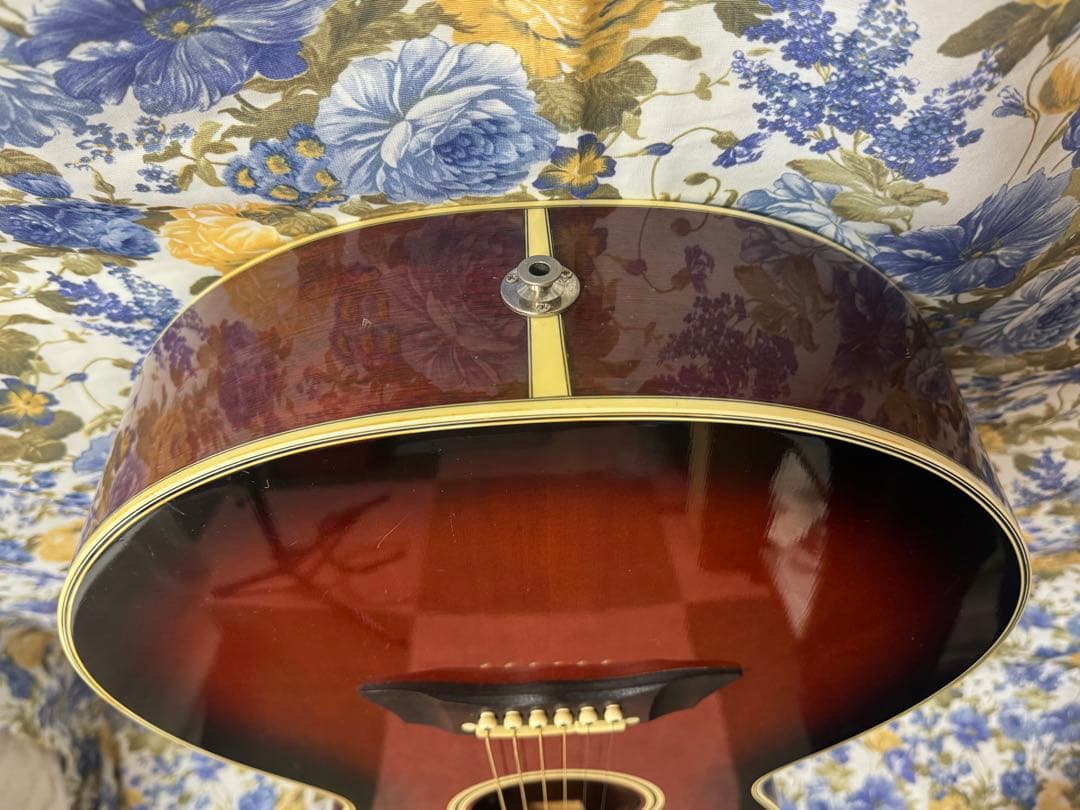 TakaminePT-106左利きコントローラーCT4BⅡ 純正ハードケース付き