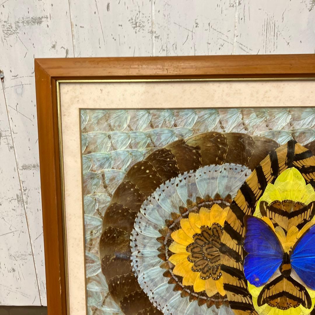 昭和レトロ 蝶 羽細工 標本 アートパネル 絵画 額装 額入り 伝統工芸 絵画