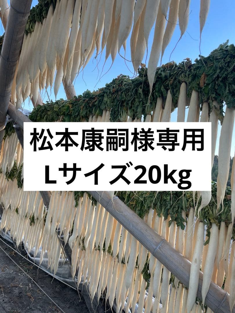 宮崎県産　干し大根　Lサイズ20kg.