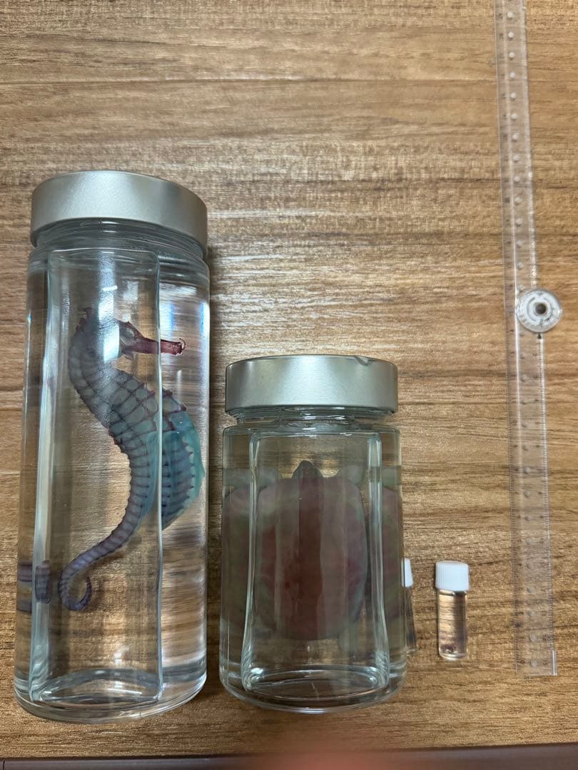 お*！様 透明標本　4個セット