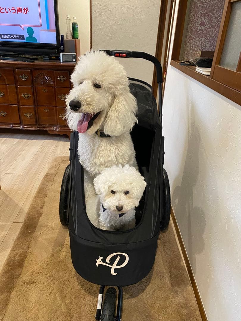 Petique ペティーク 大型犬 ペットバギー ペットジョガー