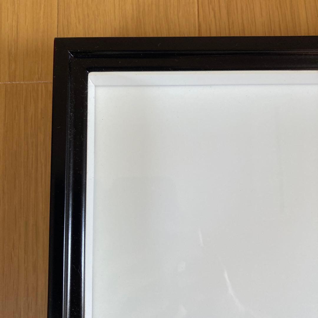 標本箱 ドイツ箱　針　板