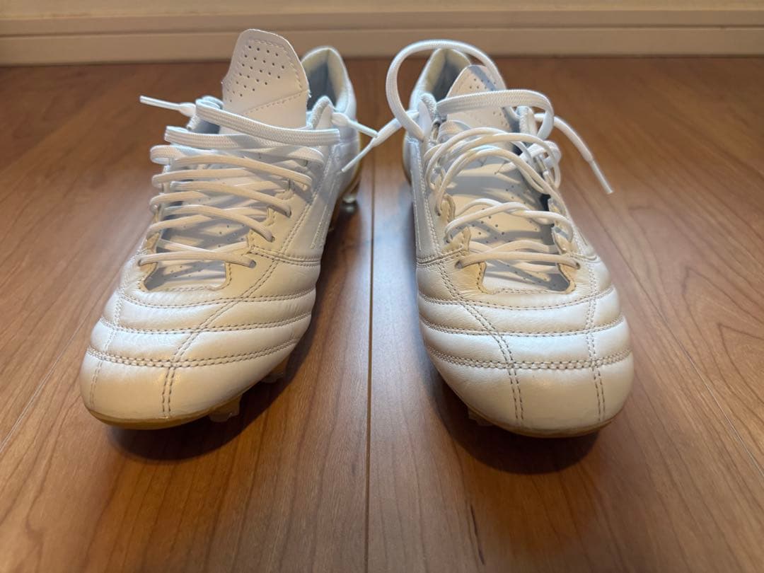 asics DSライトX fry4 25.5㎝