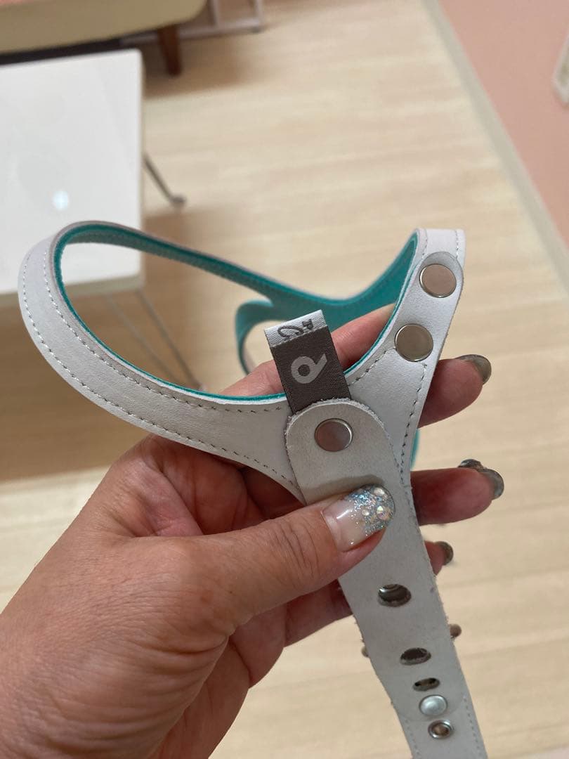 SU　バディーベルトロビンズエッグブルーレザーハーネス 6号