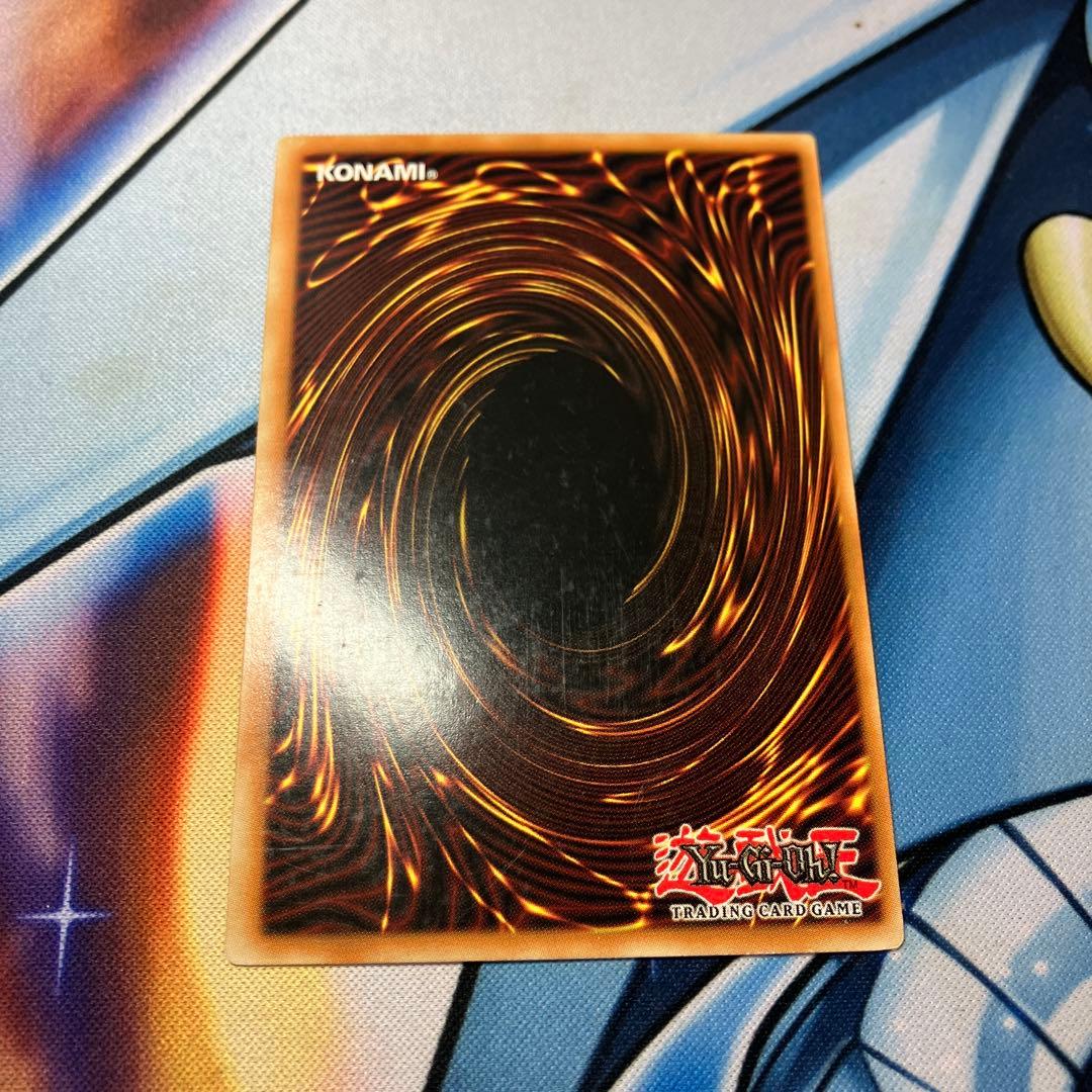 ブラック・ローズ・ドラゴン　レリーフ　英語　①