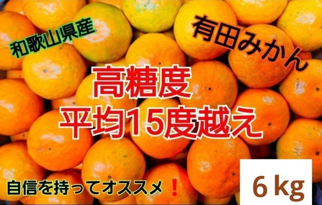 和歌山県有田産　平均糖度15度越え❗宮川早生　６kg　みかんキング　数量限定‼️