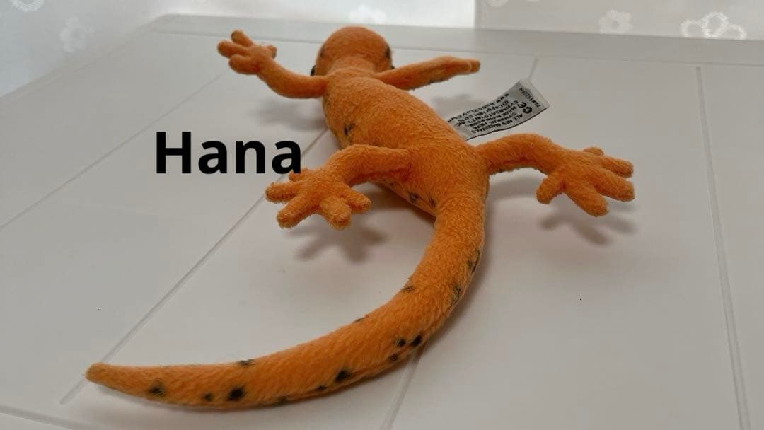 激レア⁉︎ 入手困難！ HANSA ハンサ アカブチサンショウウオ ぬいぐるみ