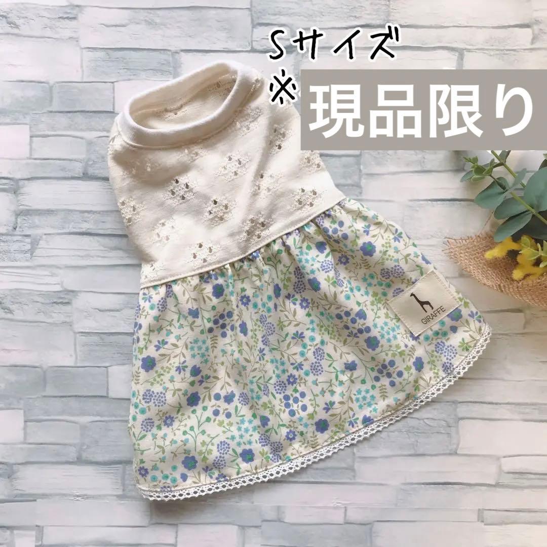 ☆犬服☆レースニットふんわりワンピースP. Sサイズ