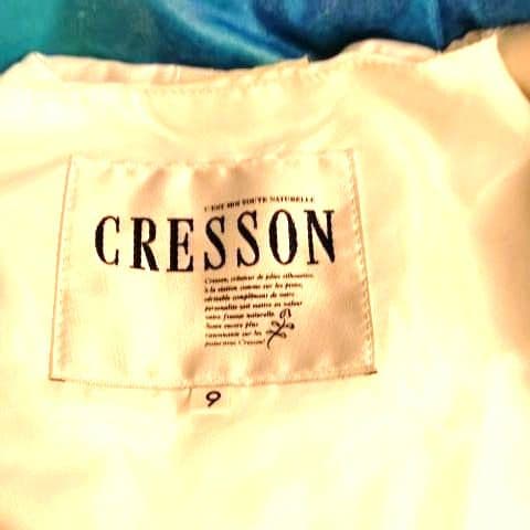 スキーウエア レディース 上下 cresson 9