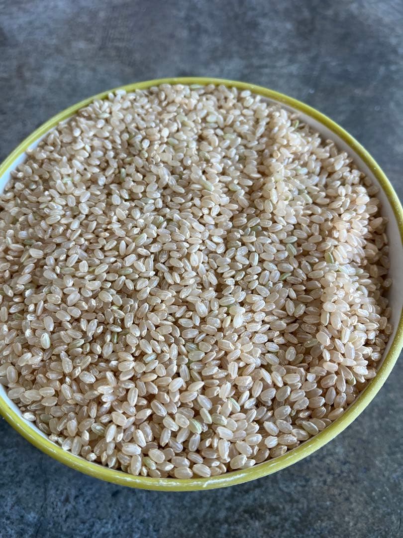 令6年産福井コシヒカリ1等 玄米18.5kg 9.25㎏を2本　送料込 低温保管