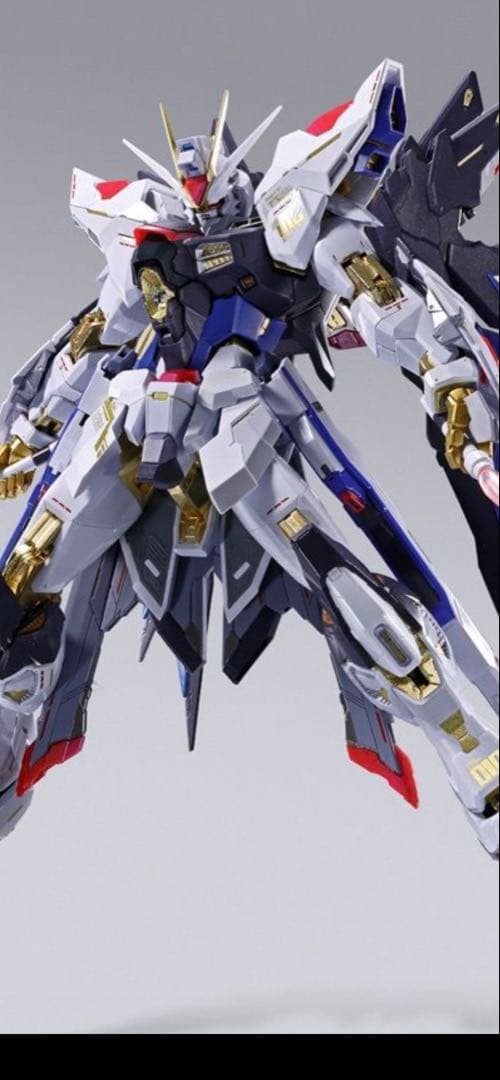 ストライクフリーダムガンダムL BUILD FESTIVAL 2024