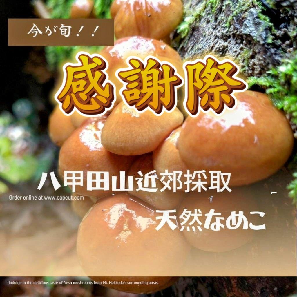 天然なめこ 青森県産 鮮度袋入り3キロ