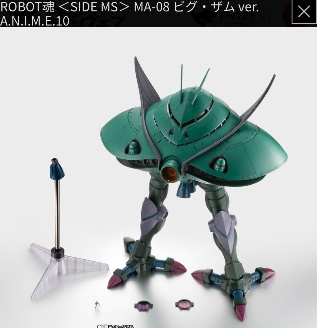 ROBOT魂 ＜SIDE MS＞ MA-08 ビグ・ザム