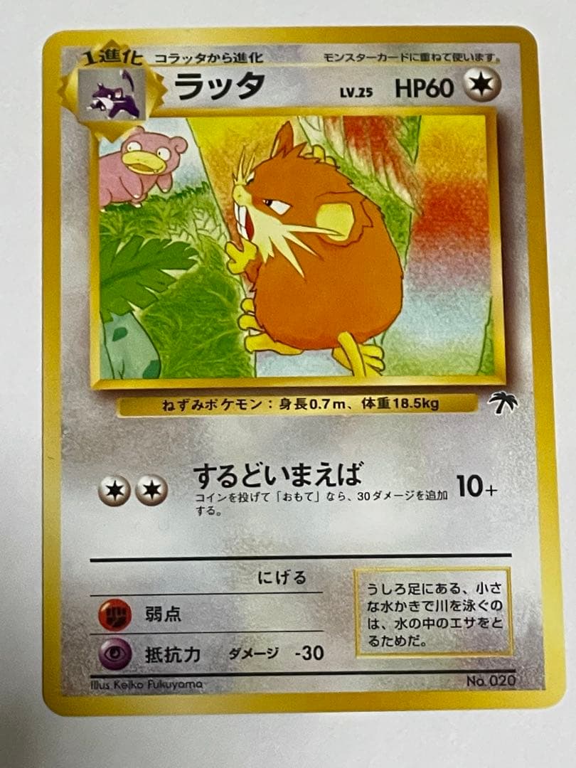 ポケモンカード 旧裏 サザンアイランド トゲピー フシギソウ ラッタ