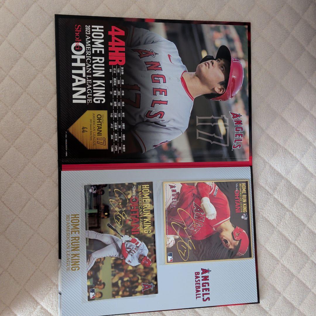 大谷翔平 ホームランキング サイン入り