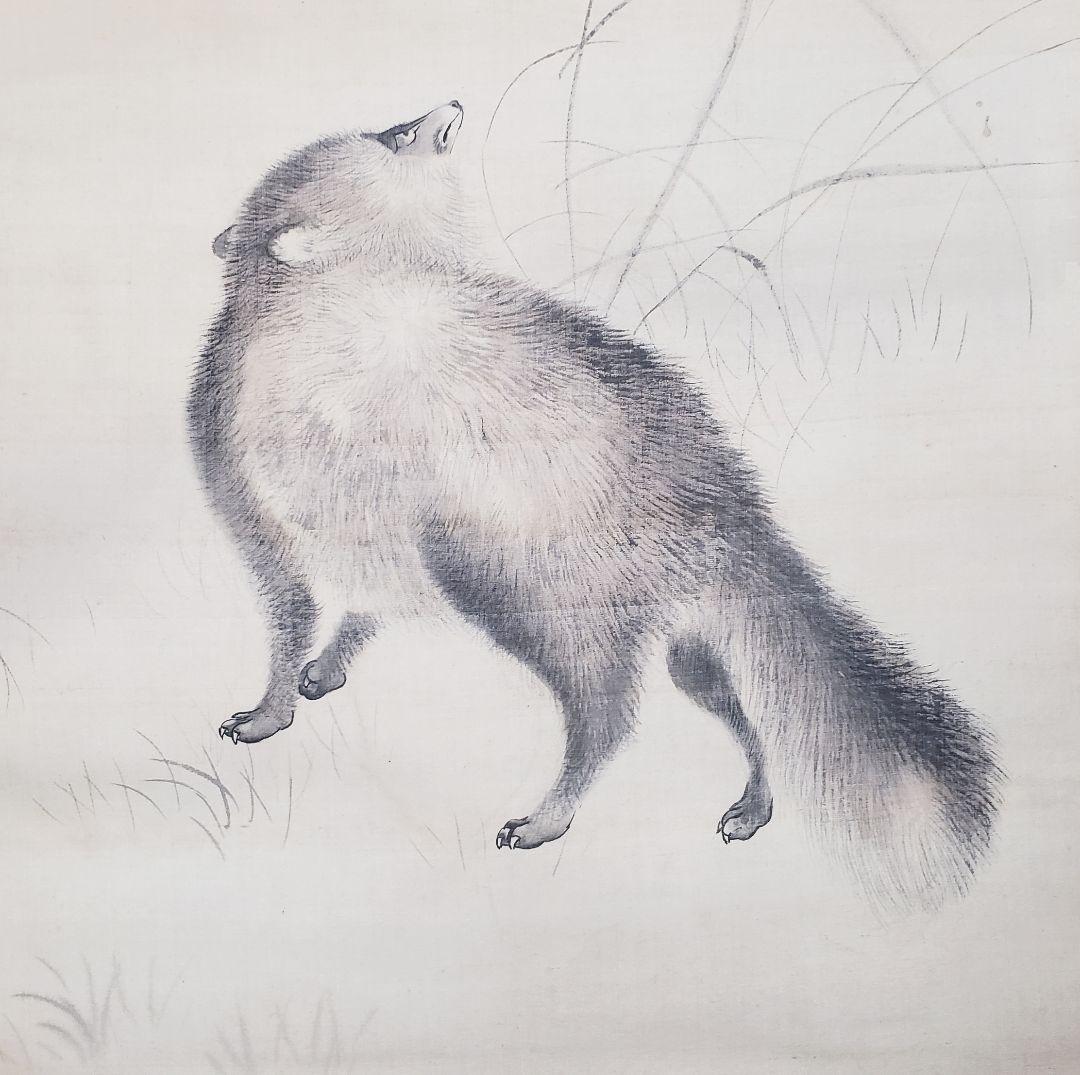 【ススキに狸図/月下】森徹山 2536 タヌキ　掛け軸　肉筆