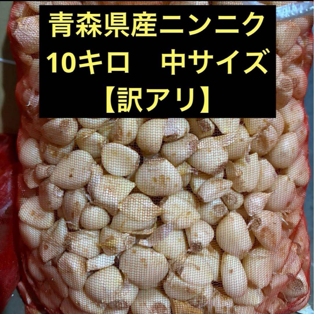 ニンニク　10kg 青森県産　福地ホワイト六片種　にんにく