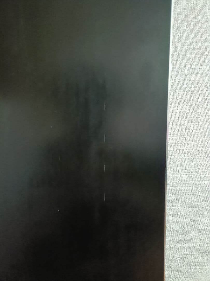 スノーボード OGASAKA CT-S 161