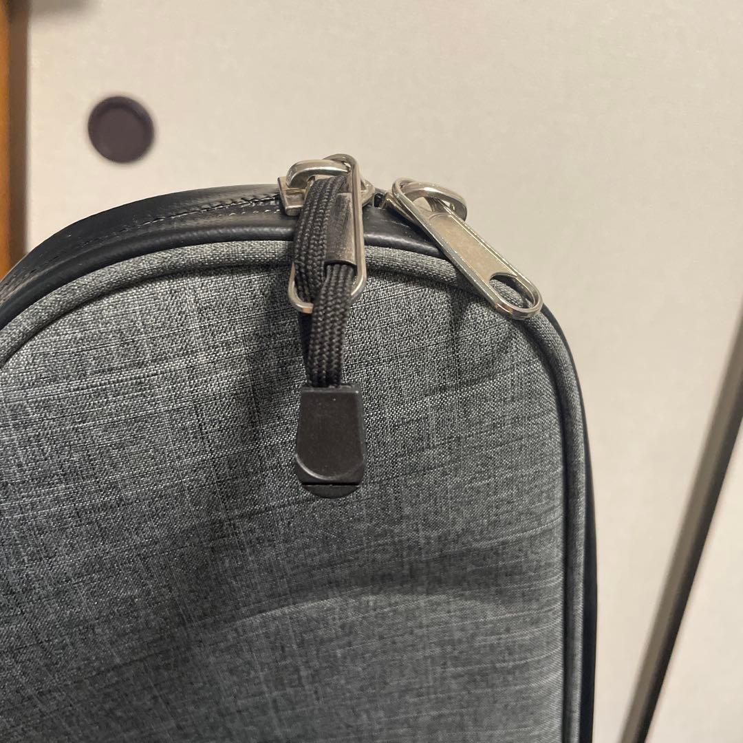 strandberg boden ras6 ギター本体・ケースのみ