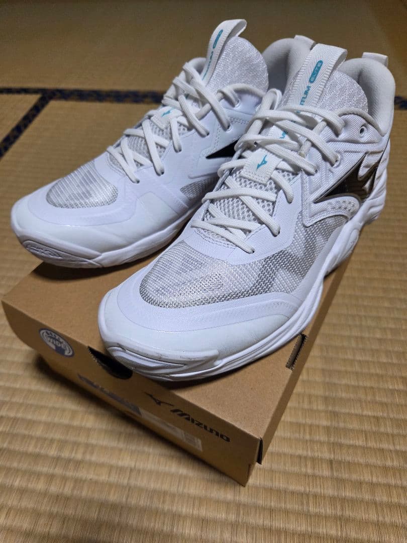 ミズノ　バレーボールシューズ　モーメンタムエリート　ワイド　Low