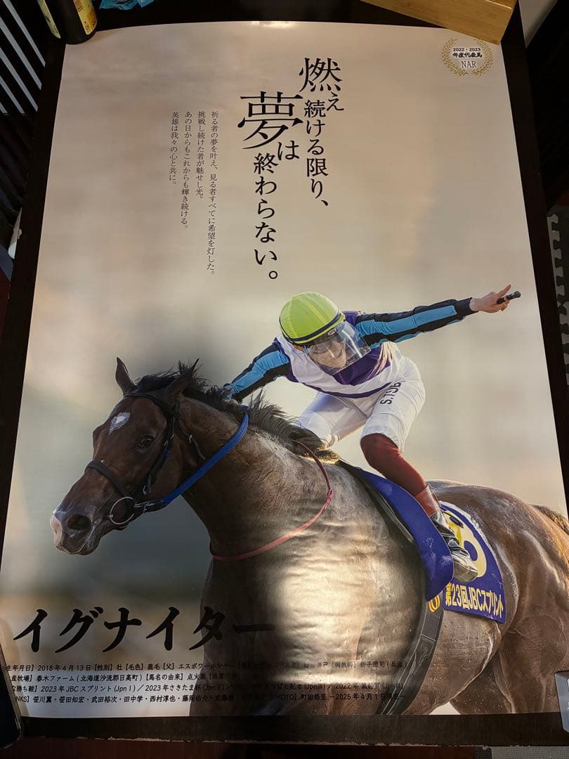 【超貴重】イグナイター 競馬 ポスター 大判