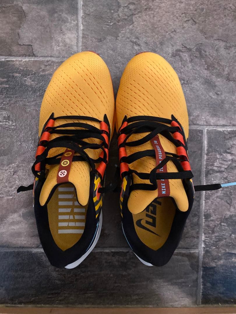 NIKE AIR ZOOM Pegasus ナイキエアズーム　ペガサス27センチ