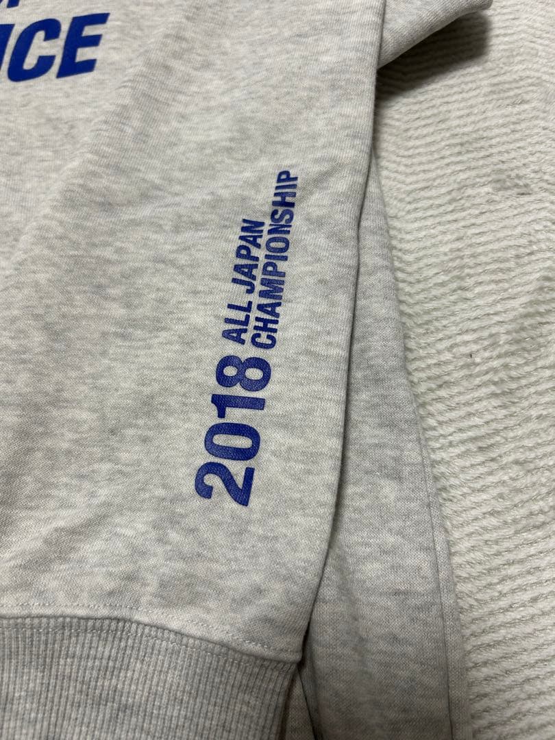 【希少品】国体 DESCENTE デサント パーカー 2018国体パーカー