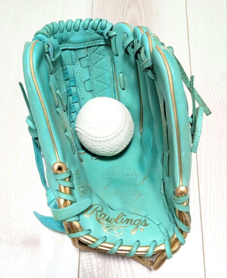 Rawlings　軟式一般用グローブ　別注