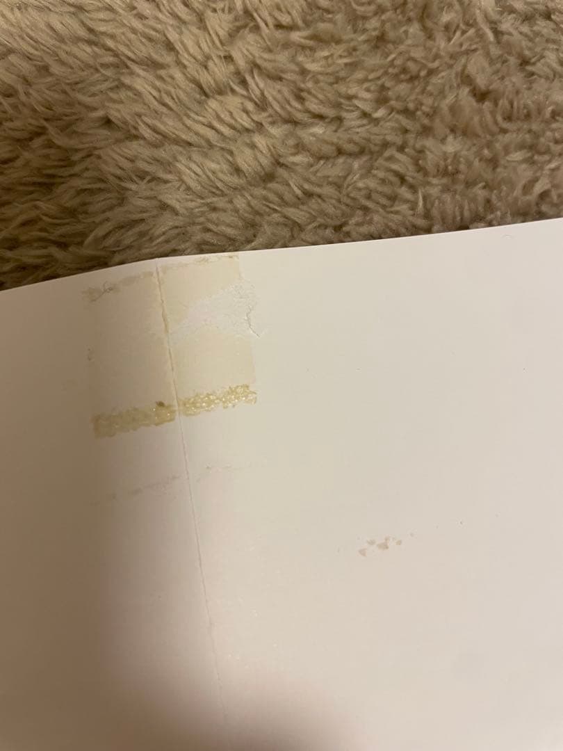 【非売品】劇場版チェンソーマン　レゼ篇　ポスター