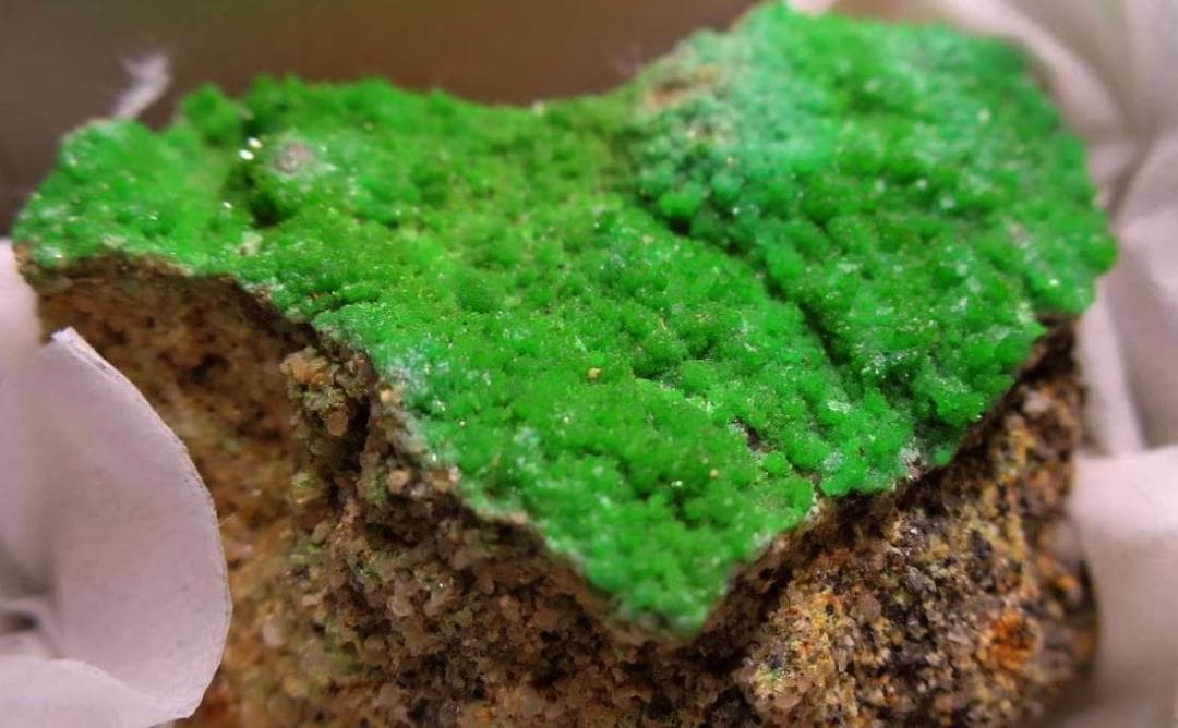 緑鉛鉱 　パイロモルファイト ドイツ産　母岩付き　 鉱物標本