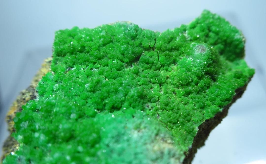 緑鉛鉱 　パイロモルファイト ドイツ産　母岩付き　 鉱物標本