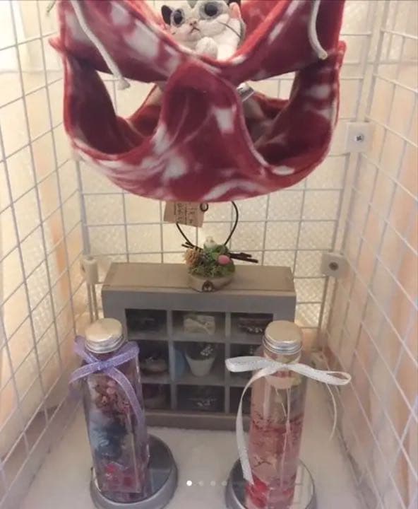 モモンガハウス（バラ柄）春（冬）秋仕様    特価  ラスト1点 1250円