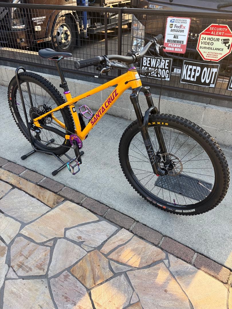 ① SANTA CRUZ chameleon カメレオン　サンタクルーズ　極美品