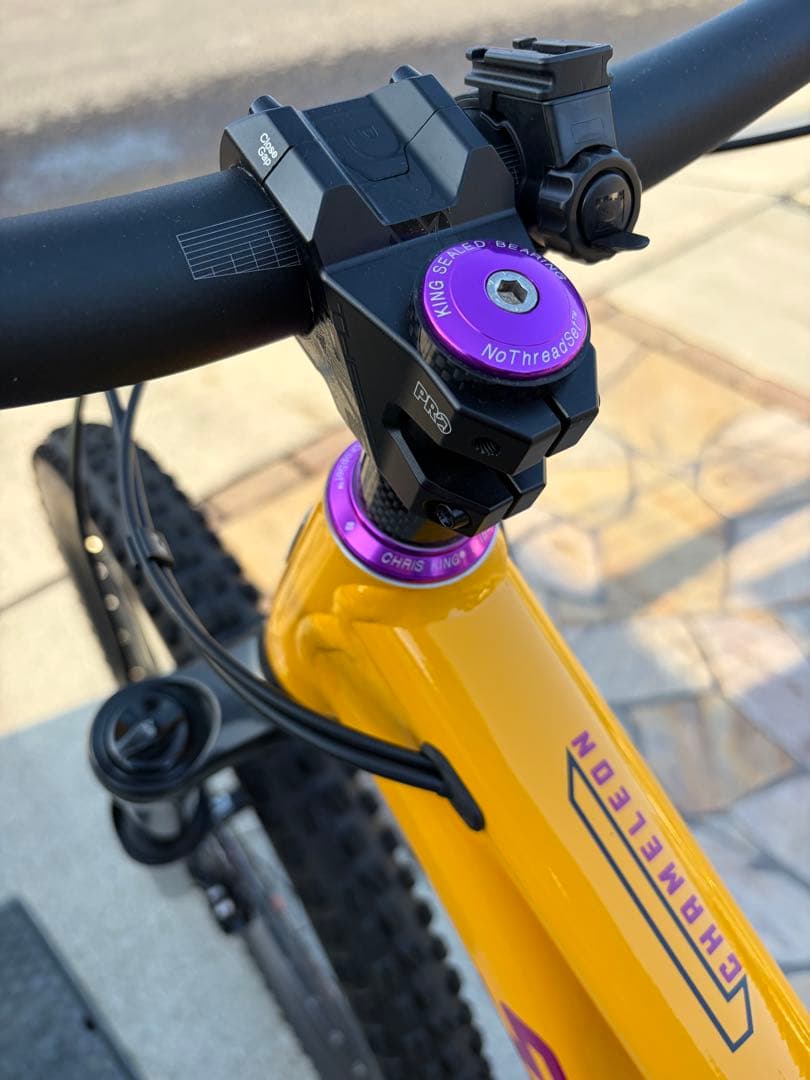 ① SANTA CRUZ chameleon カメレオン　サンタクルーズ　極美品