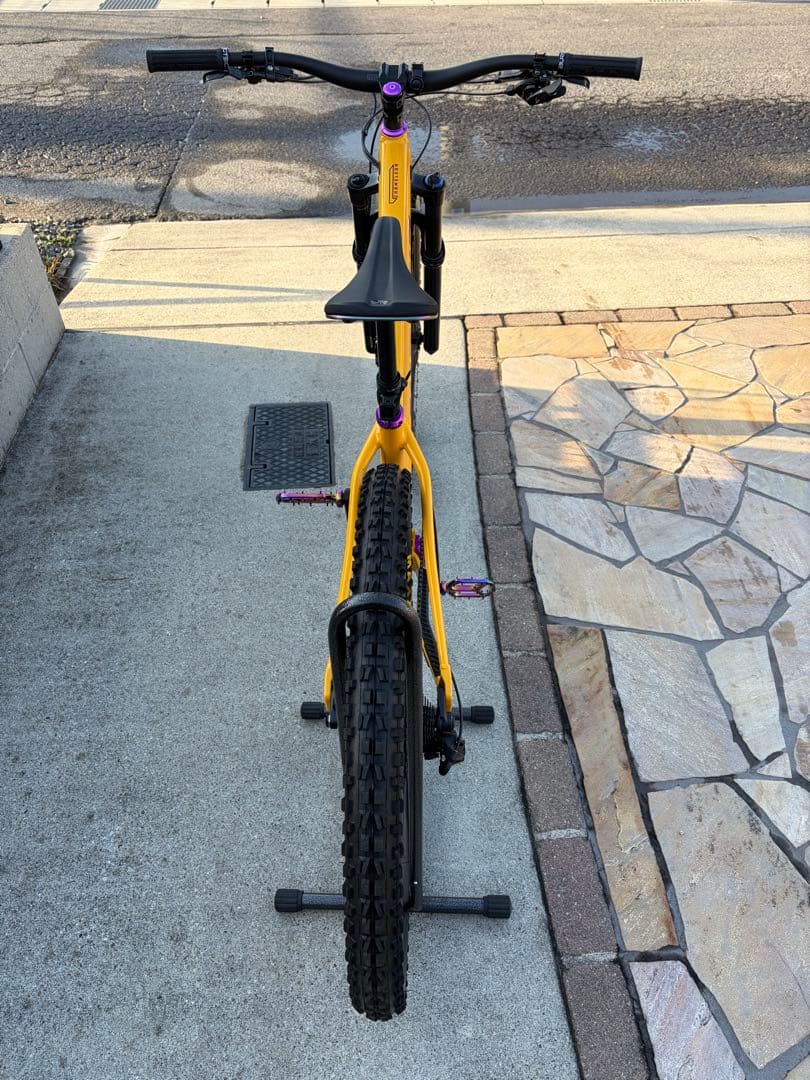 ① SANTA CRUZ chameleon カメレオン　サンタクルーズ　極美品