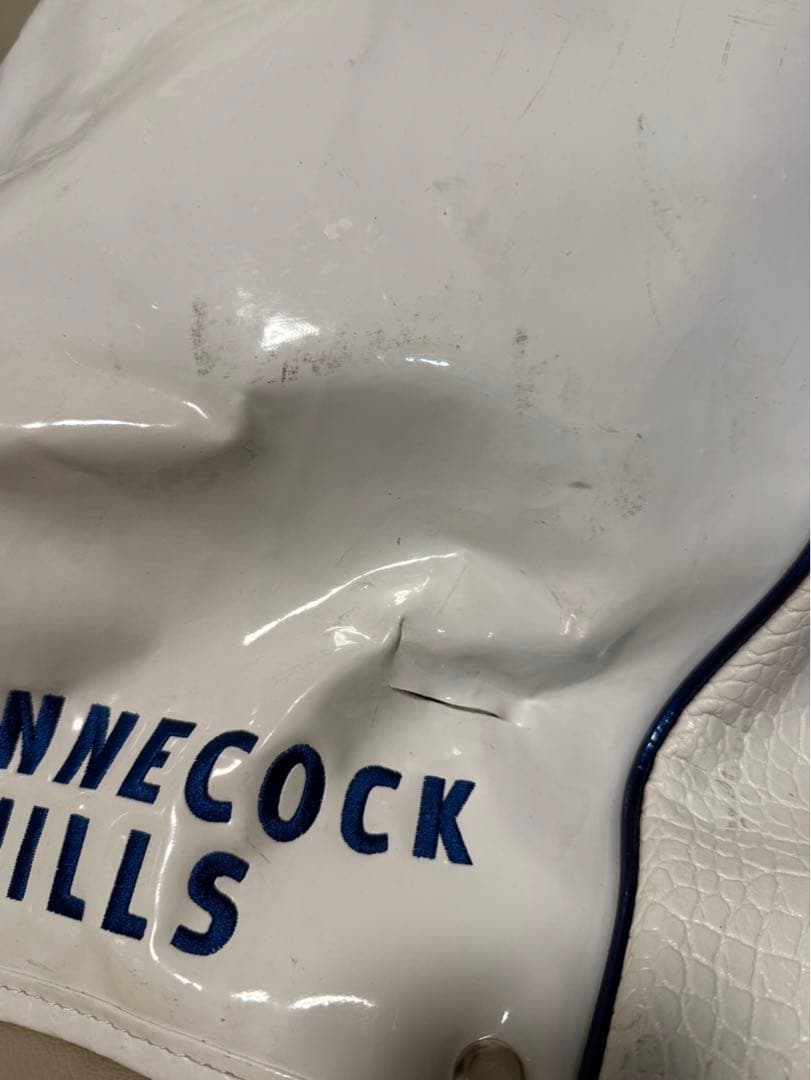 【送料込み】激レア　日本未発売限定品　U.S OPEN ゴルフバッグ　最短発送