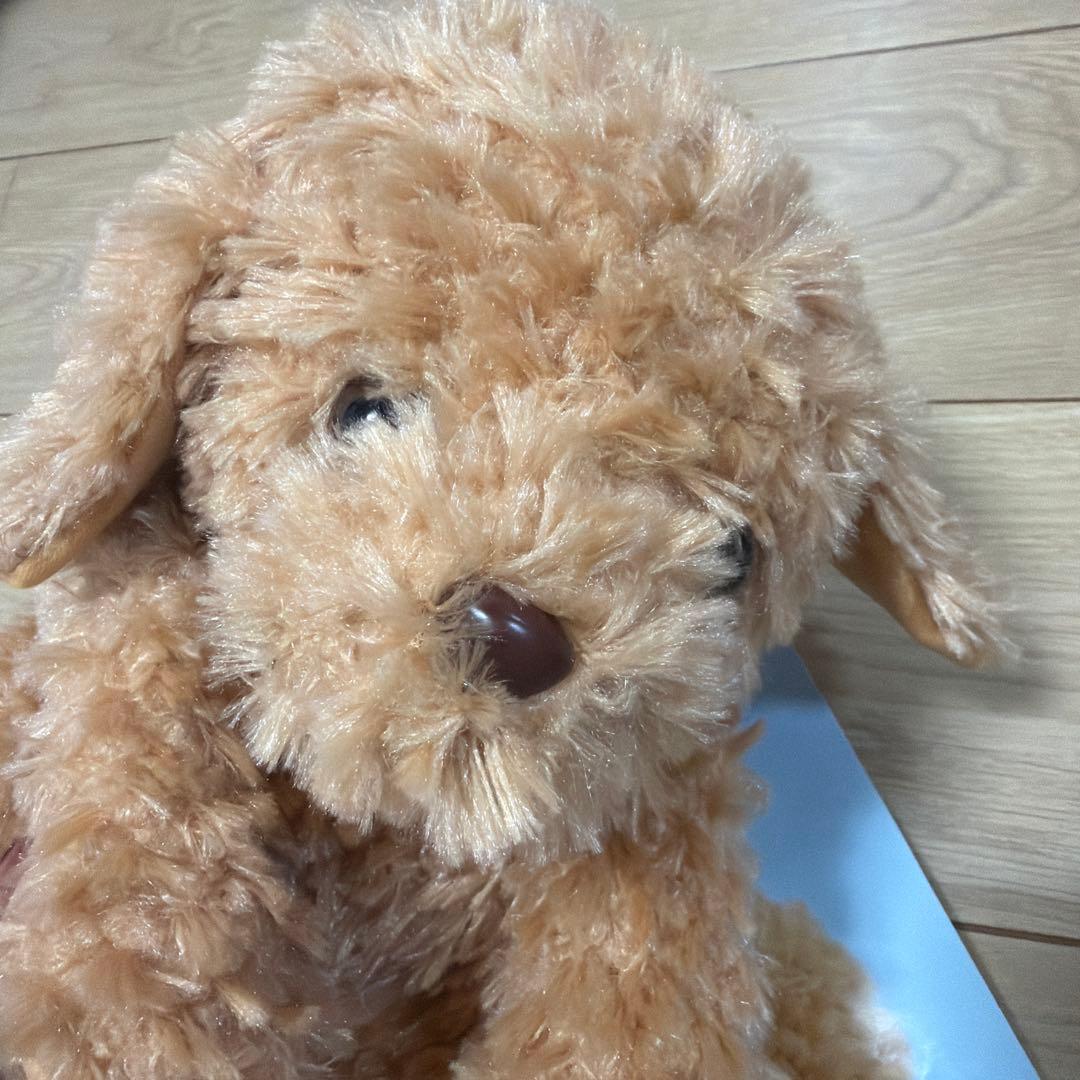 おしゃべりトイプードル 美品